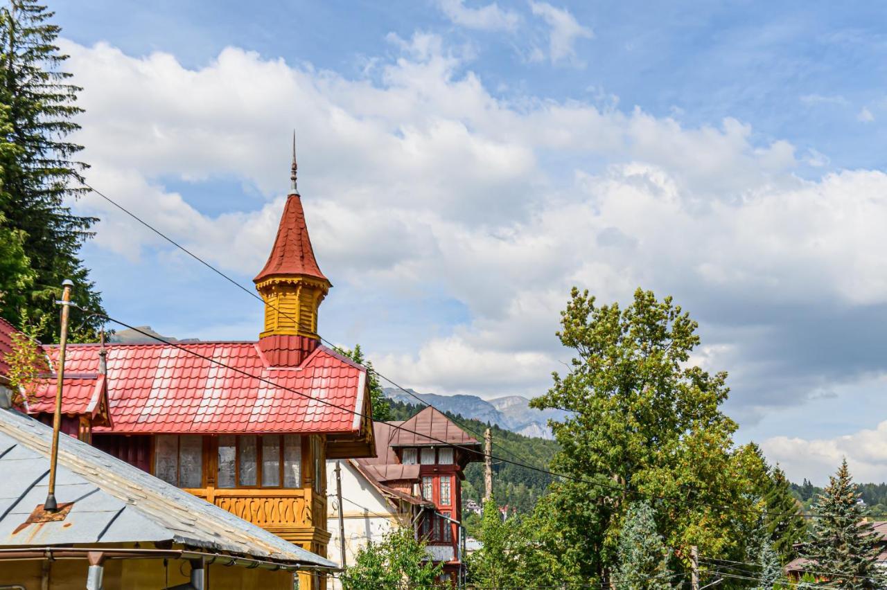 Mountain Oasis Apartment Sinaia Extérieur photo